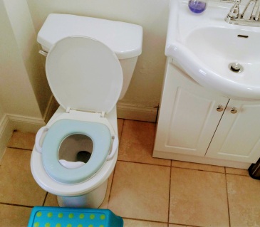 toilet seat and stool